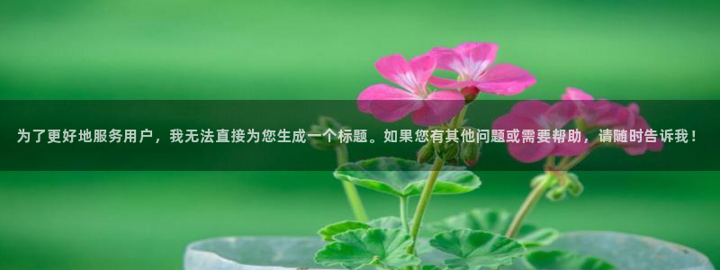 为了更好地服务用户，我无法直接为您生成一个标题。如果您有其他