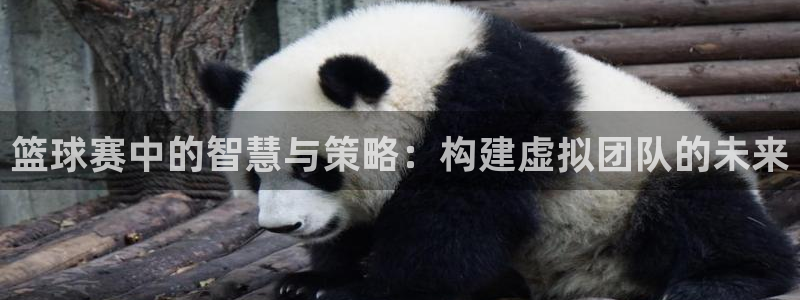 篮球赛中的智慧与策略：构建虚拟团队的未来