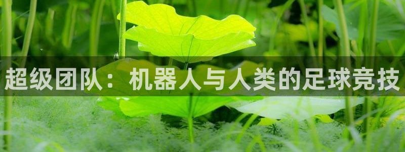 好博体育平台入口官网：超级团队：机器人与人类的足球竞技