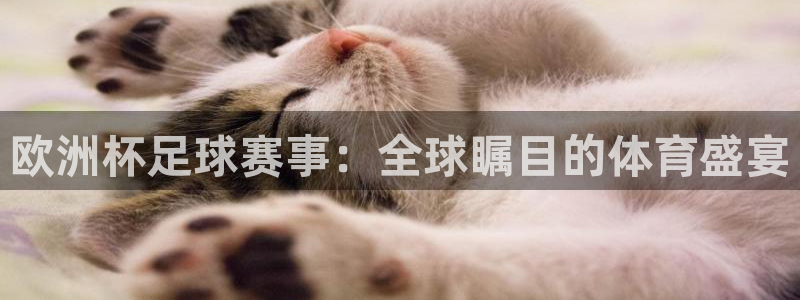 好博体育游戏：欧洲杯足球赛事：全球瞩目的体育盛宴