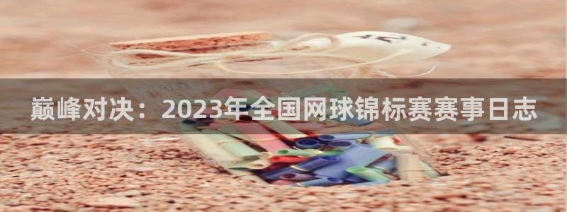好博体育平台全新升级：巅峰对决：2023年全国网球锦标赛赛事