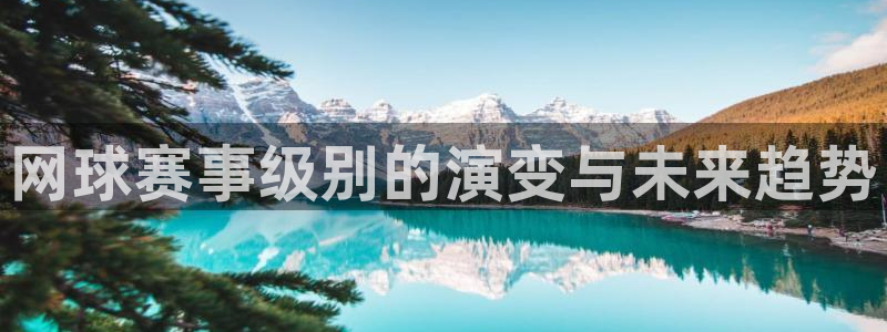 好博体育平台正规嘛安全吗:网球赛事级别的演变与未来趋势