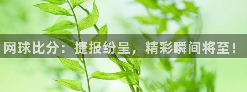 好博体育gd最新消息今天:网球比分:捷报纷呈,精彩瞬间将至!
