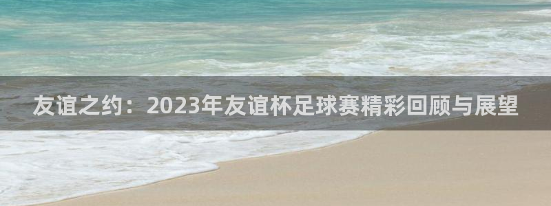 好博体育app官网入口下载苹果：友谊之约：2023年友谊杯足